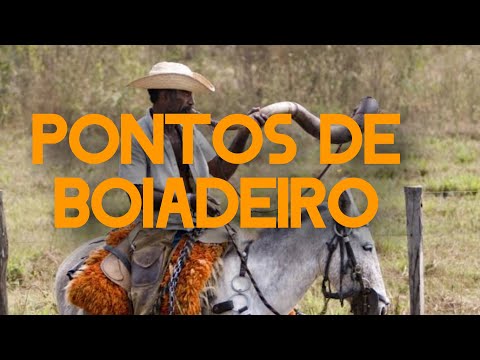 cantigas de boiadeiro  lamento de boiadeiro/best spots to relax