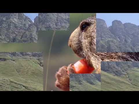 Tierra Querida - Natalia Lafourcade