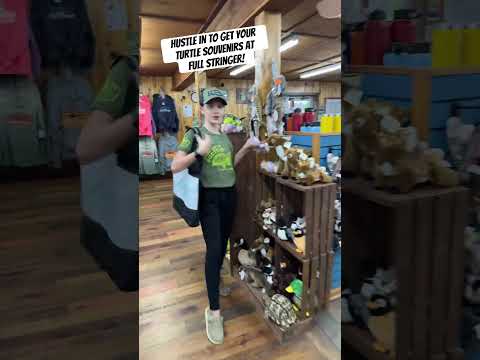 Every day I’m Hustlin’-Turtle Race shirts and souvenirs at Full Stringer! #turtlemerch #racedayready