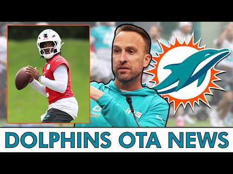 Dolphins Fans Get A BUNCH OF NEWS From The Final Wave Of Miami Dolphins OTAs