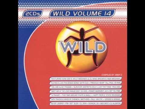 WILD FM VOLUME 14 - WILD VOLUME 14 MEGAMIX (SAM GEE)