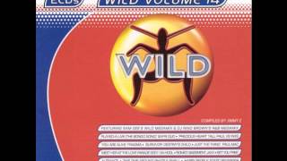 WILD FM VOLUME 14 - WILD VOLUME 14 MEGAMIX (SAM GEE)