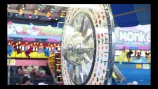 RIVAL BOYS - &quot;Don&#39;t Bloom&quot; - Animal Instincts (2014)