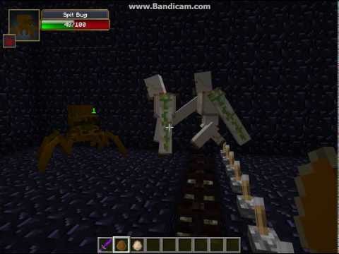 Minecraft - The Battle Arena - Spit Bug VS Iron Golem