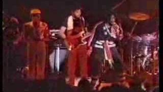 Peter Tosh - Pick myself up (live in reggae sunsplash ´79)
