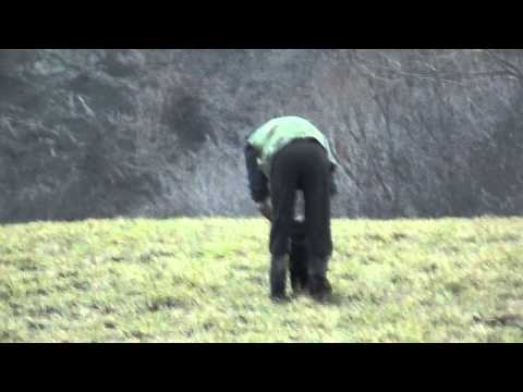 Gari 7 meseci , rad u polju!