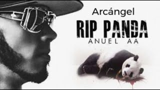 Rip Panda/Anuel AA X Arcángel