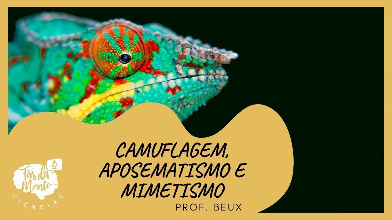 CAMUFLAGEM, APOSEMATISMO  e MIMETISMO - Ensino Fundamental