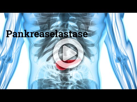 Laboruntersuchung  bei Bauchspeicheldrüsenschwäche - die Pankreaselastase im Stuhl