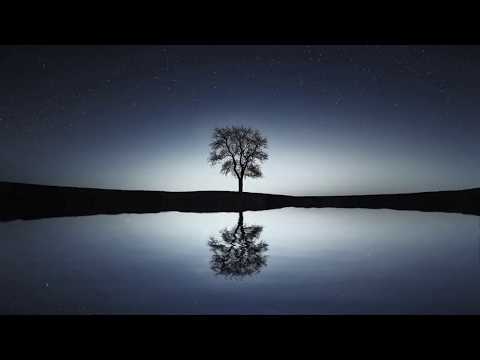 Colony Three - Indifference Waves