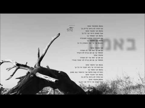 באמת Amir Benayoun