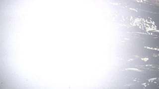 烏牛欄大護法 洪申豪