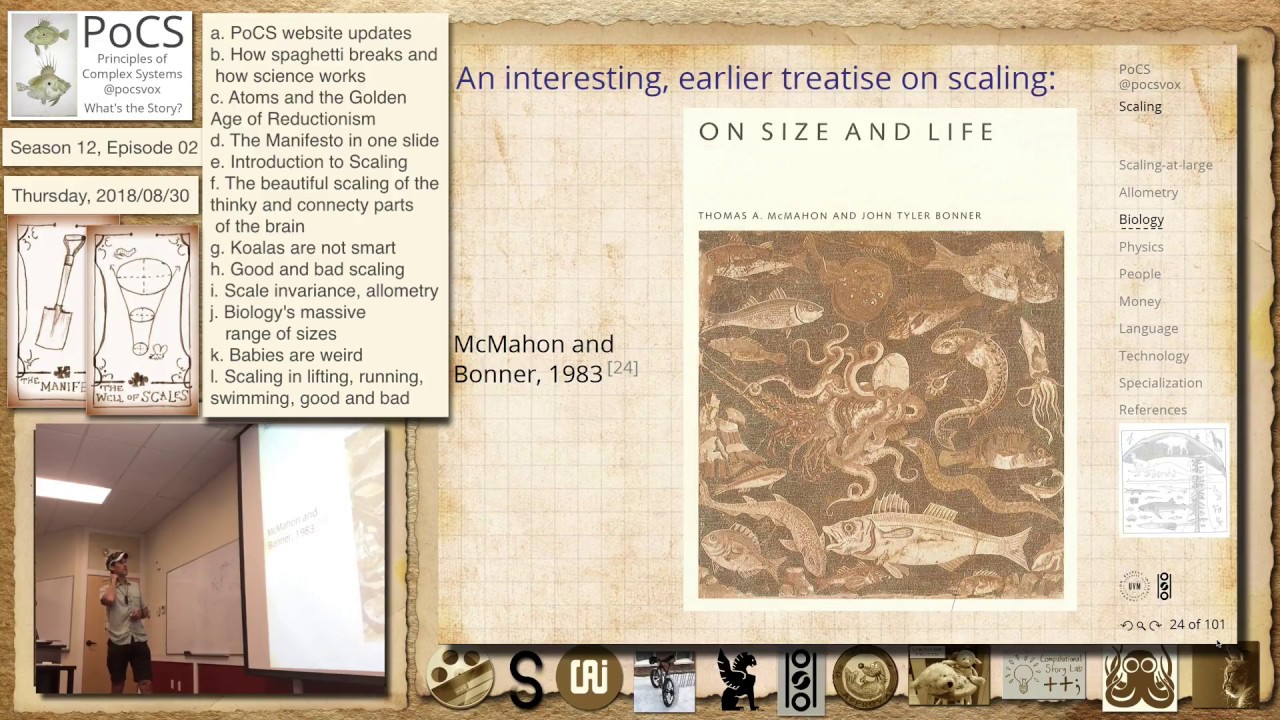 S12E02i: Scale invariance, allometry