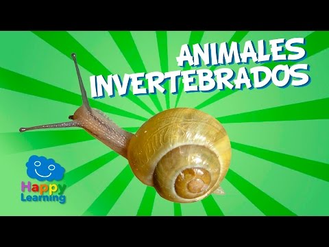 Animales Invertebrados | Videos Educativos para Niños de Primaria | Happy Learning