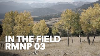 In The Field: RMNP 03