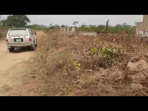 Land For Sale Lush Luxury Estate Phase 1* Agodo Igbonla Epe Price/size: 500sqm Outright: N1,500,000 0 3 Months : N1,500,000 4 6 Months : N1,800,000 7 12months: N2,000,000 Landmarks Epe Resort And Spa Yaba College Of Technology(epe Campus) Newly Tarred Construct Epe Lagos