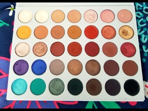 Morphe x Jaclyn Hill Palette Review! Hit or Miss? Video