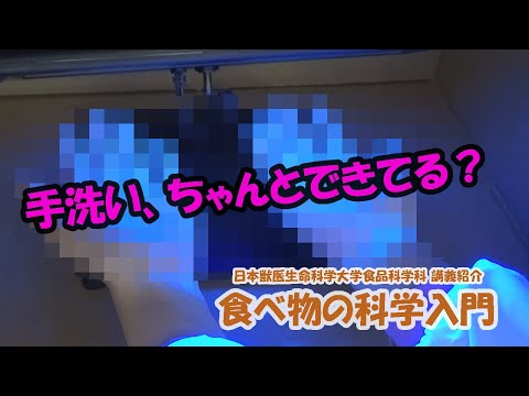 動物科学科 日本獣医生命科学大学 食品科学科 1年次前期「食べ物の科学 入門」実験