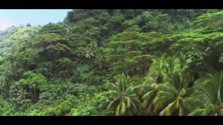 PNL : ANALYSE ON ENVERRA MOWGLI CHERCHER MEDAILLE