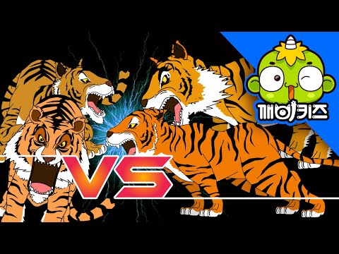 가장 힘센 호랑이는? | 동물배틀 | 동물만화 | 깨비키즈 KEBIKIDS