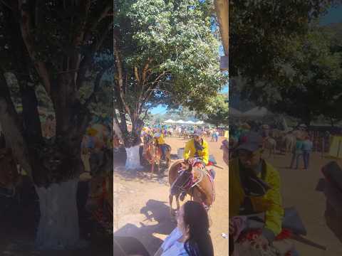 cavalgada queima da cebola em Serra Nova Dourada MT #vidanaroca #cavalgada