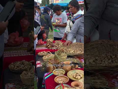 Feria Gastronomica Cconcharaymi 2026 en Anta Cusco.