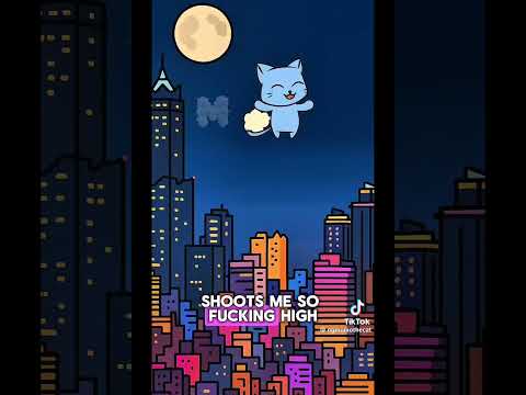 Momo The Cat TikTok Compilation 2  