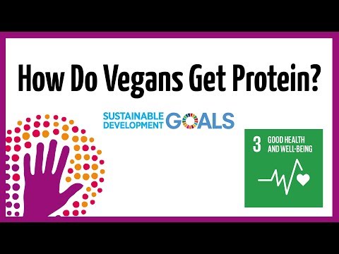ヴィーガンはどうやってタンパク質を摂取するのか？ (How Do Vegans Get Protein?)