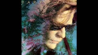 Daryl Hall - Someone Like You