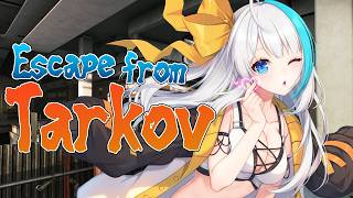 【#タルコフ 】のんびりお散歩雑談タルコフ【氷雨ぺんちゃ/Vtuber】