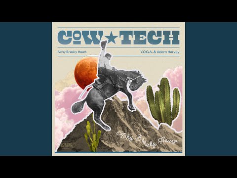 Achy Breaky Heart (Club Version)