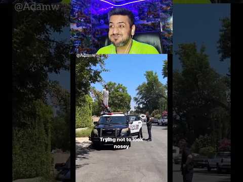 Try Not to Laugh Challenge 330 🤣 #funny #shorts #viral