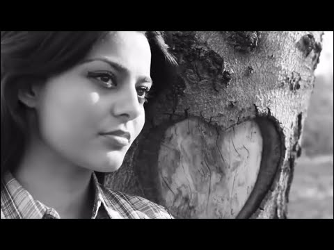 Hozan Axîn LÊ LÊ 2021 & هوزان اخين لي لي