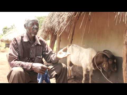 Community Knowledge Worker (CKW) initiative