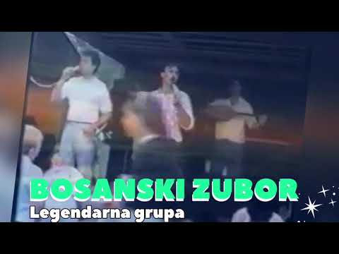 BOSANSKI Z U B O R // Sa MOMCILOM STEVANOVICEM - Mocom.