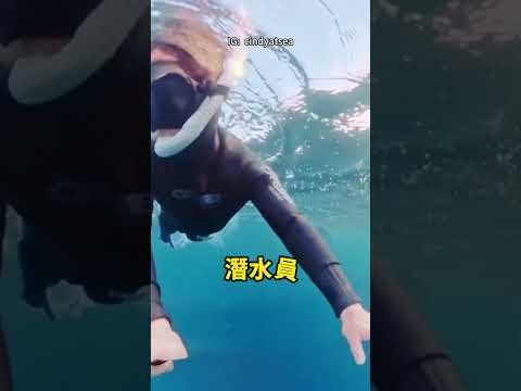 如果慢一秒，後果不敢想！🐋😱