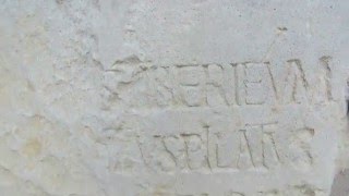 preview picture of video 'Caesarea Israel - limestone block discovered in 1961 with Pilate's tribute in Latin to Tiberius.'