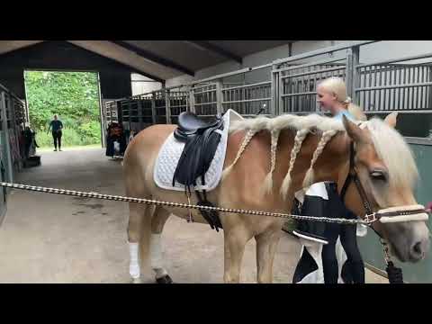 Årets bling-bling rytter