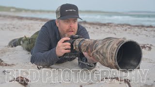 How I photograph shorebirds // BIRD PHOTOGRAPHY with nikon Z9 auto capture