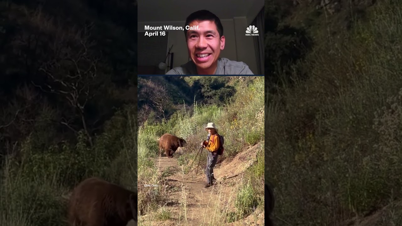 Bear charges hiker in Southern California