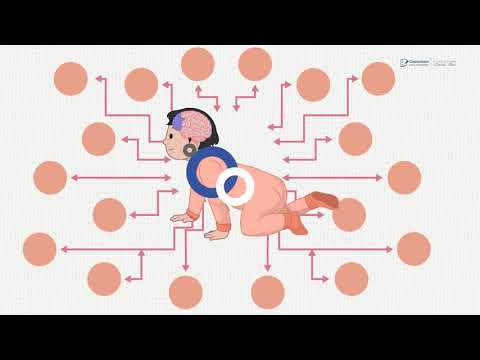 Curso de Promotor del Desarrollo Infantil 0