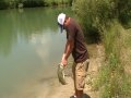 One dumb fish