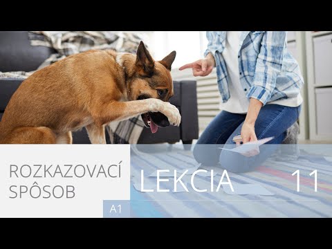 Lekcia 11. Rozkazovací spôsob | Angličtina pre úplných začiatočníkov