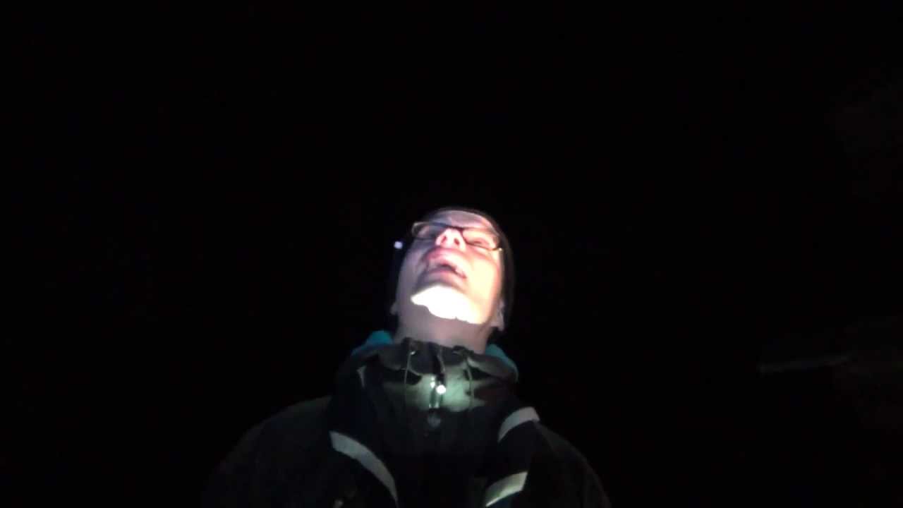 Sarastetta Silmäkulmassa: Muuttolinnut