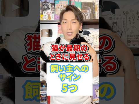 猫の原始滑液包 – それは何で、何のためにあるのか