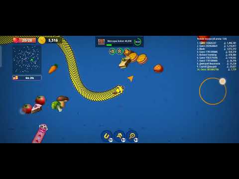 cacing pita Alaska makan rakus(2)