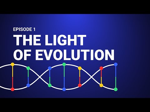 The Light of Evolution - Vir(Ev)o Episode 1