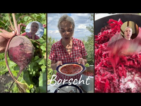 How to cook Borscht Borsch? #borscht #borsch #foodblogger #cousine 