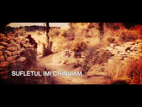 Catalin Tache   Am fost cazut Official video 2016