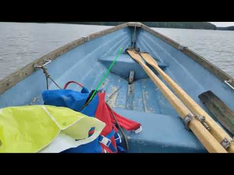 Ahventa jahtaamassa pohjaongella.